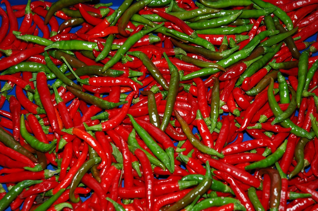 A Beginner's Guide to Exploring Asian Hot Sauce: Spice Up Your Taste Buds!